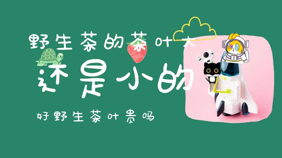 野生茶的茶叶大还是小的好野生茶叶贵吗