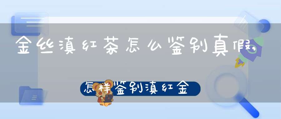 金丝滇红茶怎么鉴别真假,怎样鉴别滇红金丝的真假