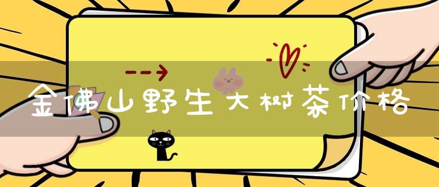 金佛山野生大树茶价格