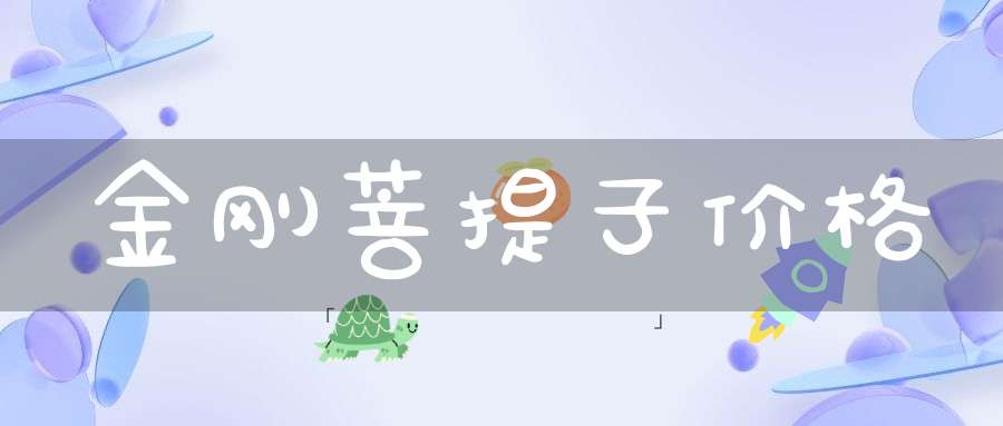 金刚菩提子价格