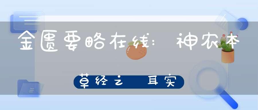 金匮要略在线:神农本草经之枲耳实