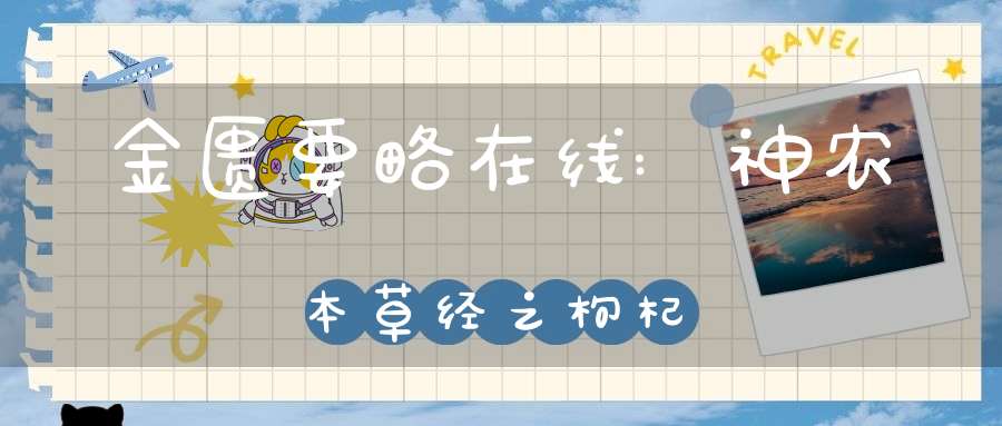 金匮要略在线:神农本草经之枸杞