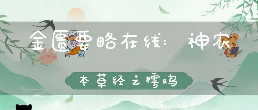 金匮要略在线:神农本草经之樗鸡