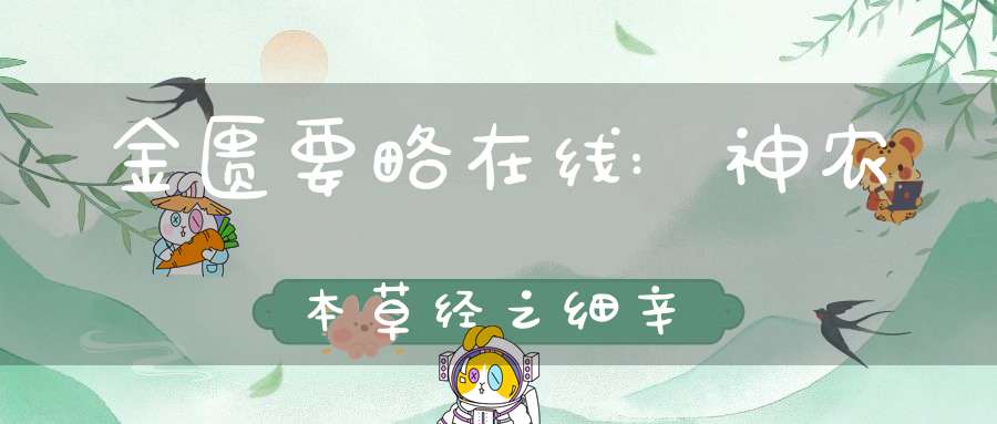 金匮要略在线:神农本草经之细辛