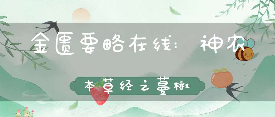 金匮要略在线:神农本草经之蔓椒