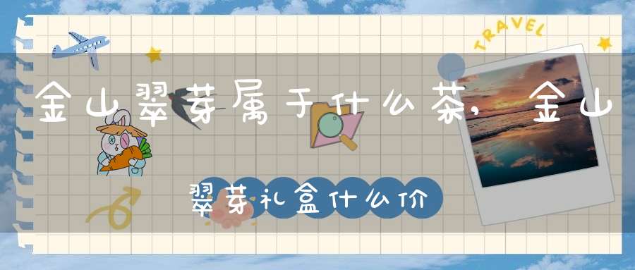 金山翠芽属于什么茶,金山翠芽礼盒什么价位