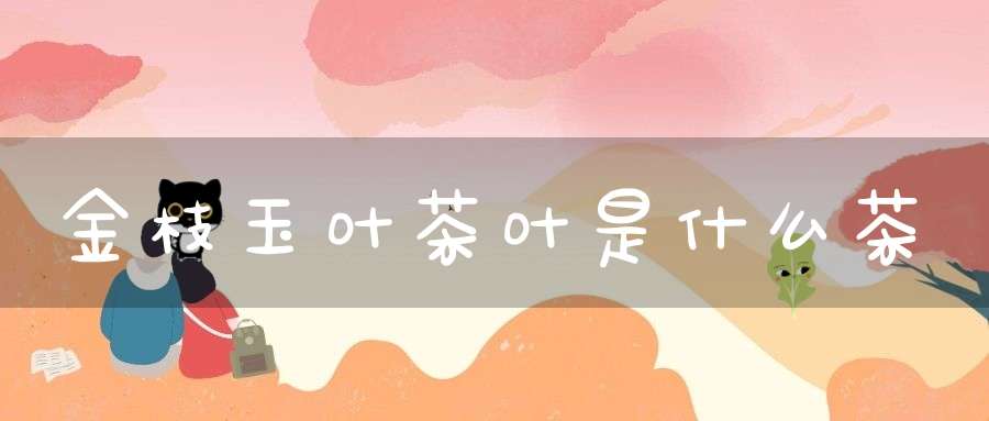 金枝玉叶茶叶是什么茶