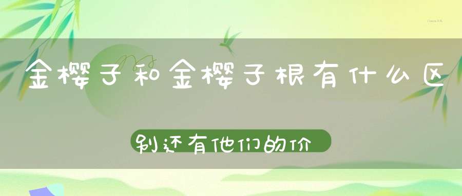 金樱子和金樱子根有什么区别还有他们的价钱真的？