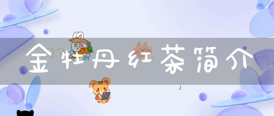 金牡丹红茶简介