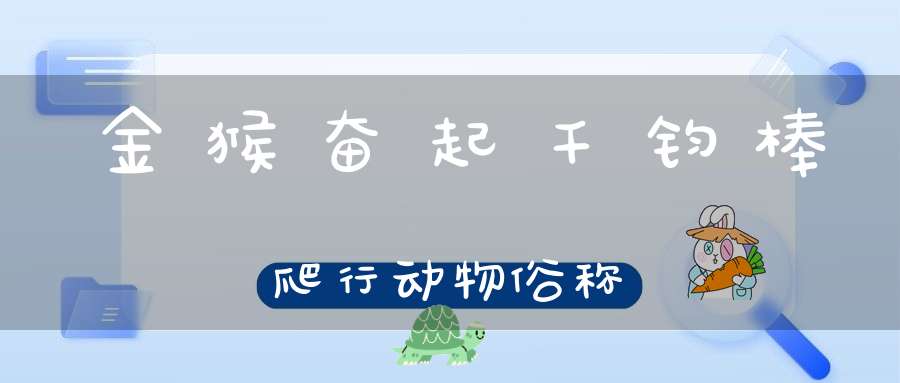 金猴奋起千钧棒 爬行动物俗称