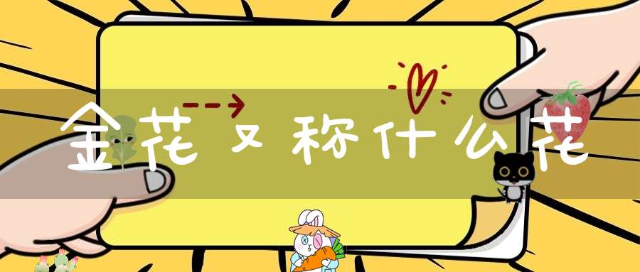 金花又称什么花