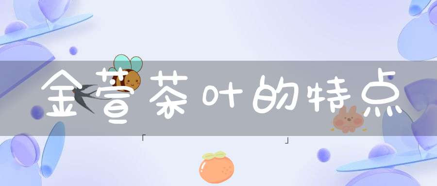 金萱茶叶的特点