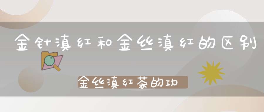 金针滇红和金丝滇红的区别金丝滇红茶的功效与作用
