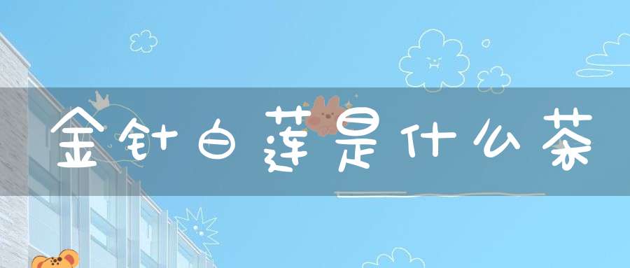 金针白莲是什么茶