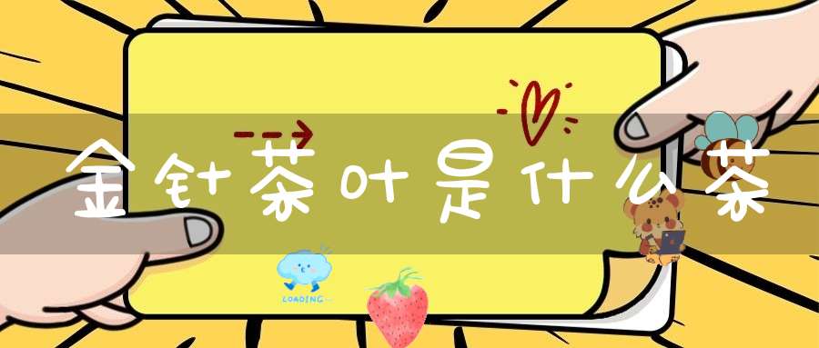 金针茶叶是什么茶