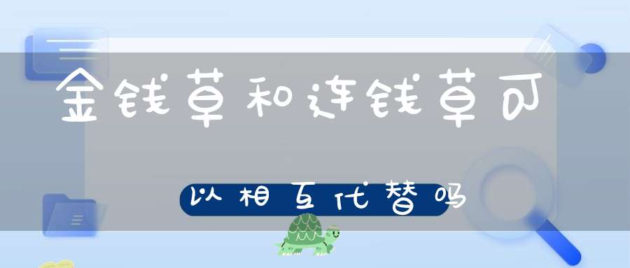 金钱草和连钱草可以相互代替吗？