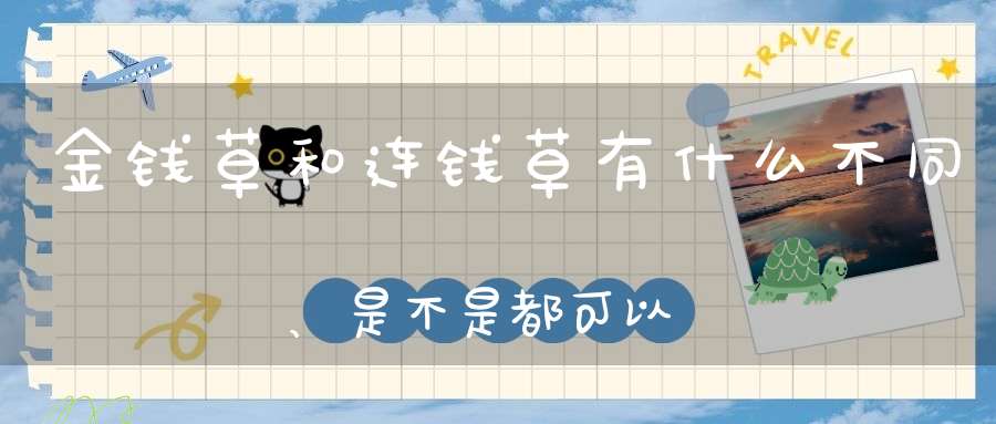 金钱草和连钱草有什么不同、是不是都可以去胆结石？