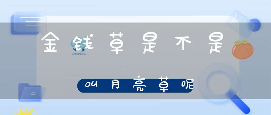 金钱草是不是叫月亮草呢？