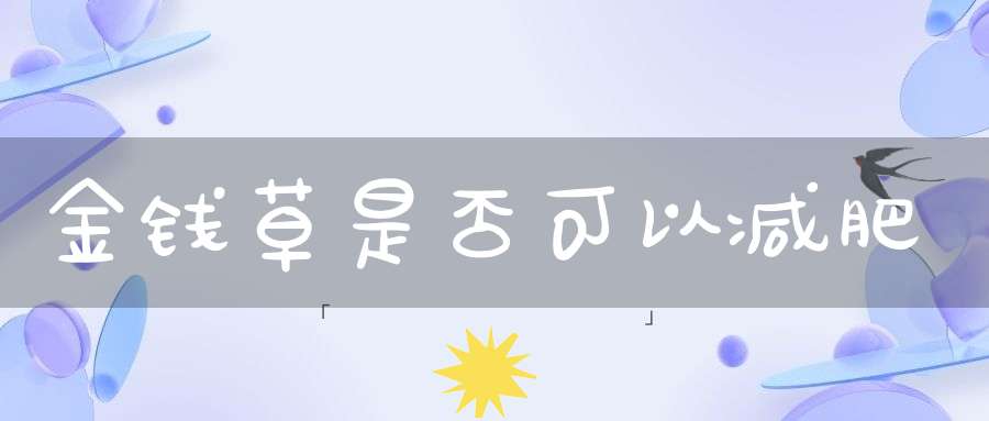 金钱草是否可以减肥？