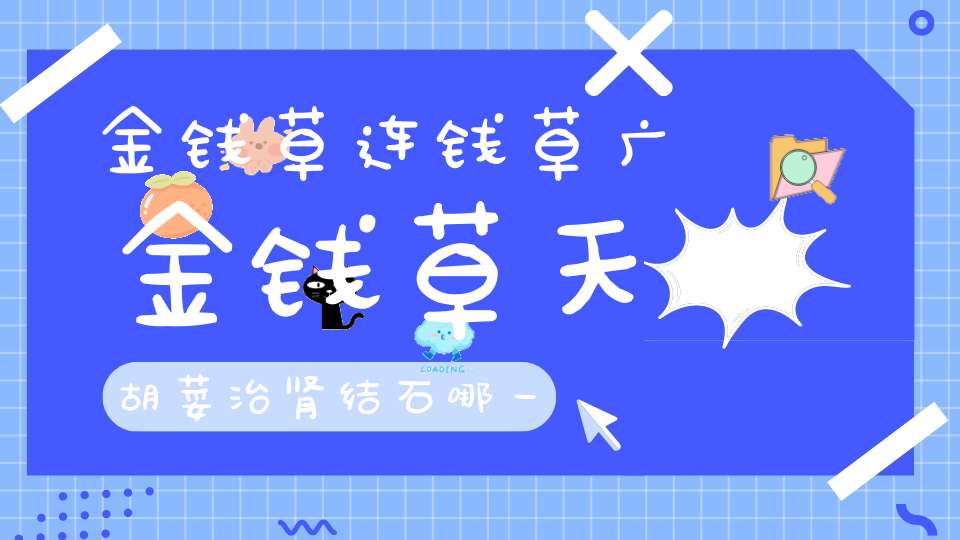 金钱草连钱草广金钱草天胡荽治肾结石哪一味好？