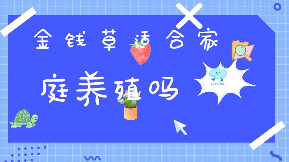 金钱草适合家庭养殖吗？