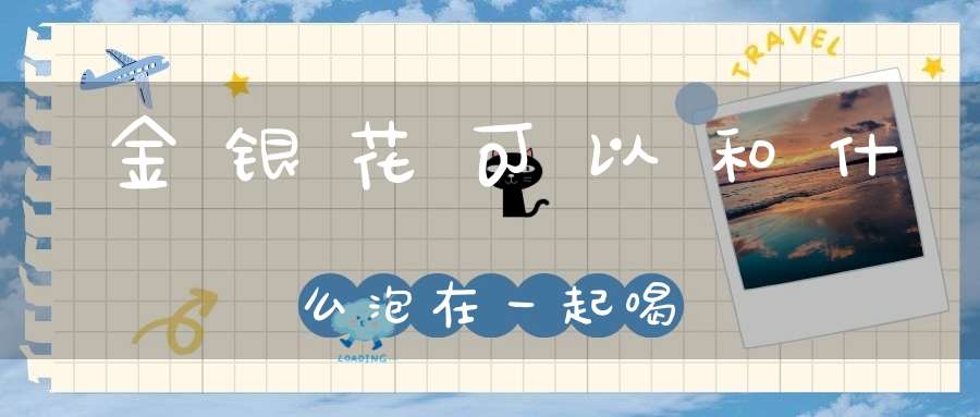 金银花可以和什么泡在一起喝