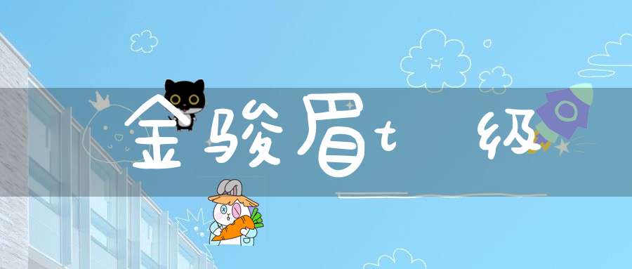 金骏眉t级