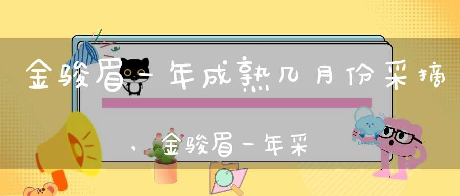 金骏眉一年成熟几月份采摘,金骏眉一年采摘几次