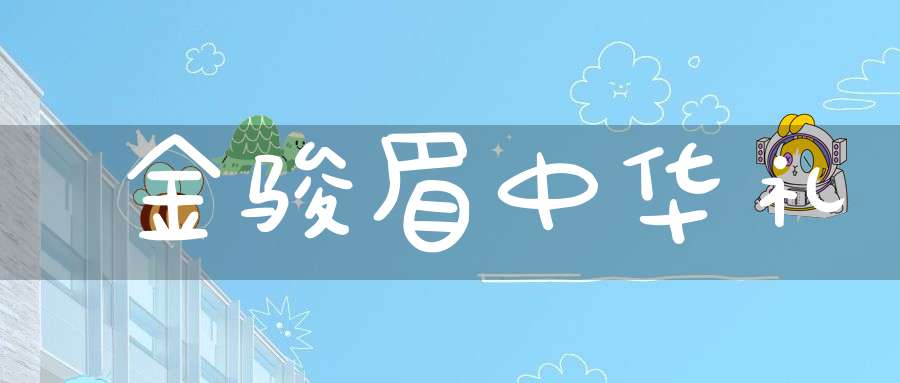 金骏眉中华礼