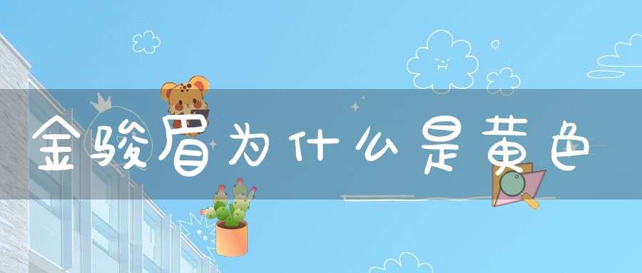 金骏眉为什么是黄色
