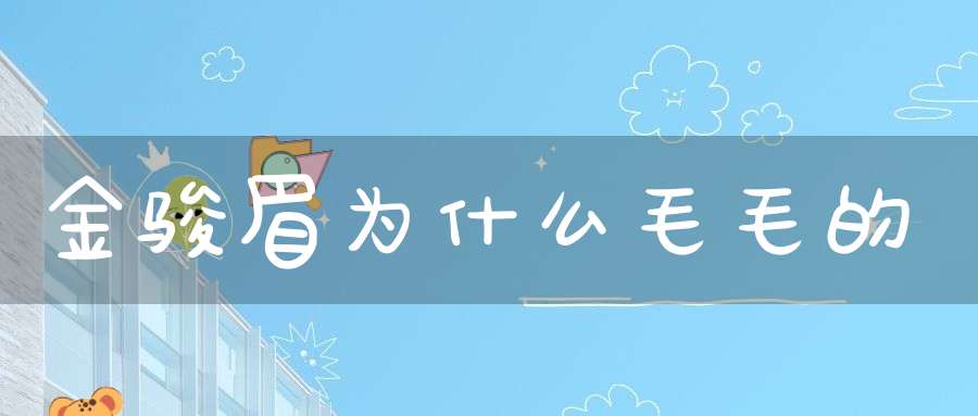 金骏眉为什么毛毛的