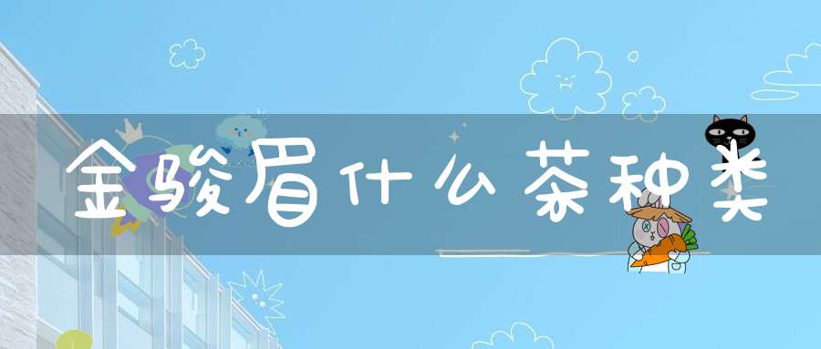 金骏眉什么茶种类