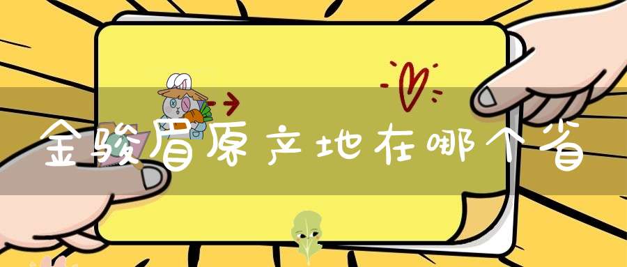 金骏眉原产地在哪个省