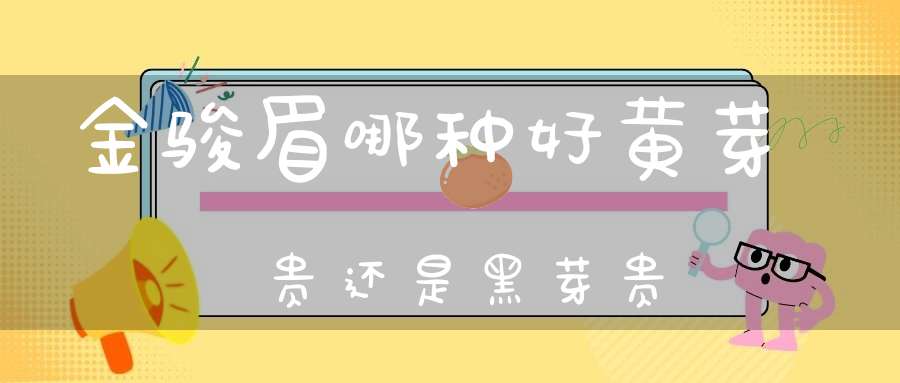 金骏眉哪种好黄芽贵还是黑芽贵