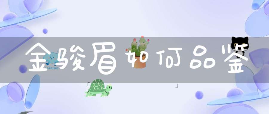 金骏眉如何品鉴