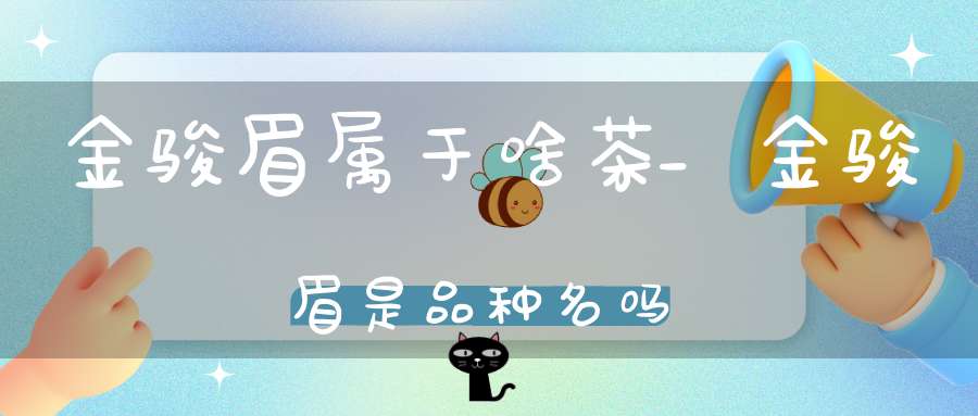 金骏眉属于啥茶_金骏眉是品种名吗