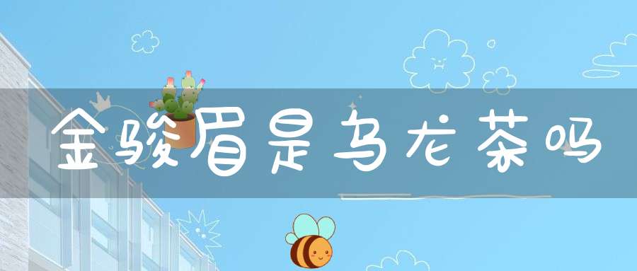 金骏眉是乌龙茶吗