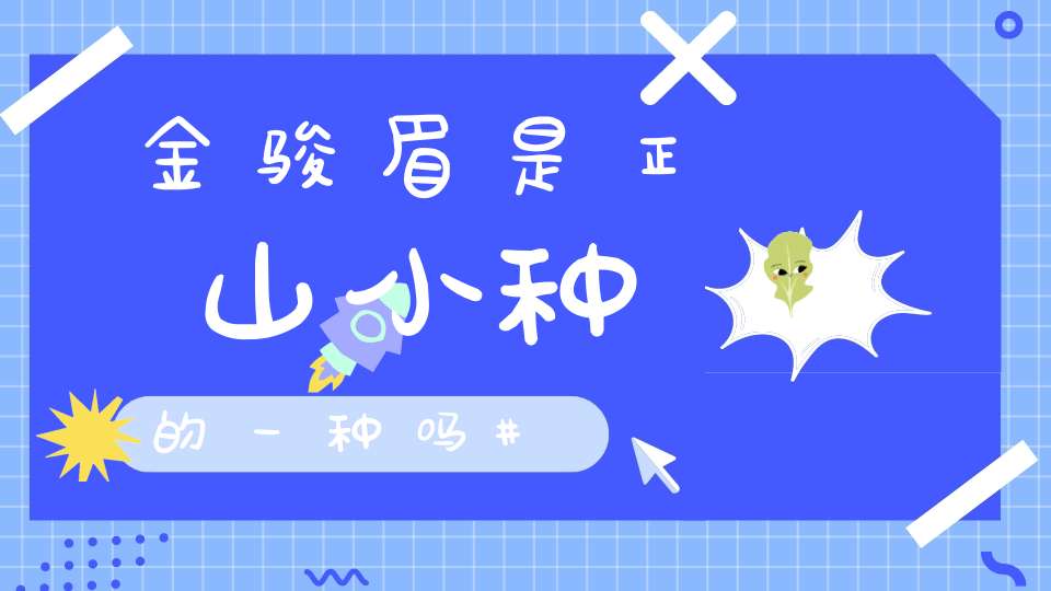 金骏眉是正山小种的一种吗