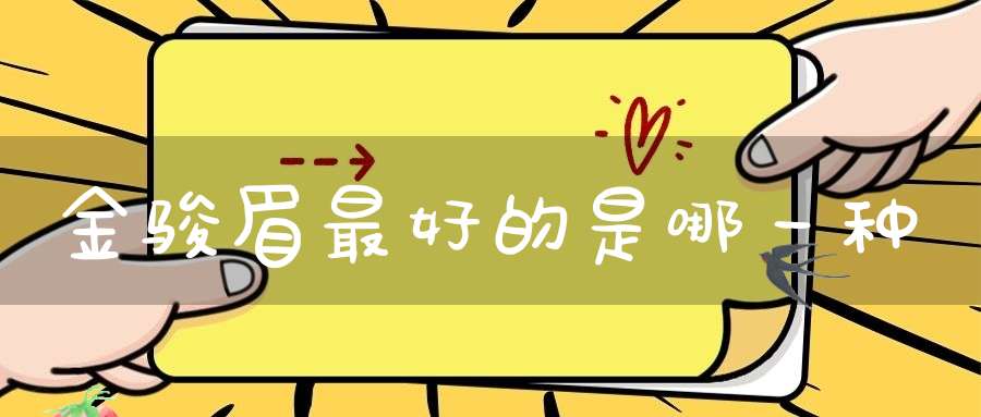 金骏眉最好的是哪一种