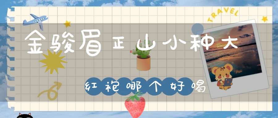 金骏眉正山小种大红袍哪个好喝