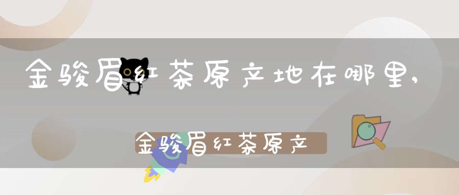 金骏眉红茶原产地在哪里,金骏眉红茶原产地是哪里