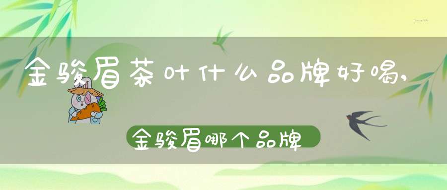 金骏眉茶叶什么品牌好喝,金骏眉哪个品牌正宗
