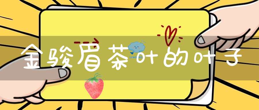 金骏眉茶叶的叶子