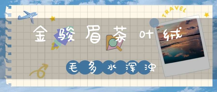 金骏眉茶叶绒毛多水浑浊