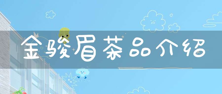 金骏眉茶品介绍