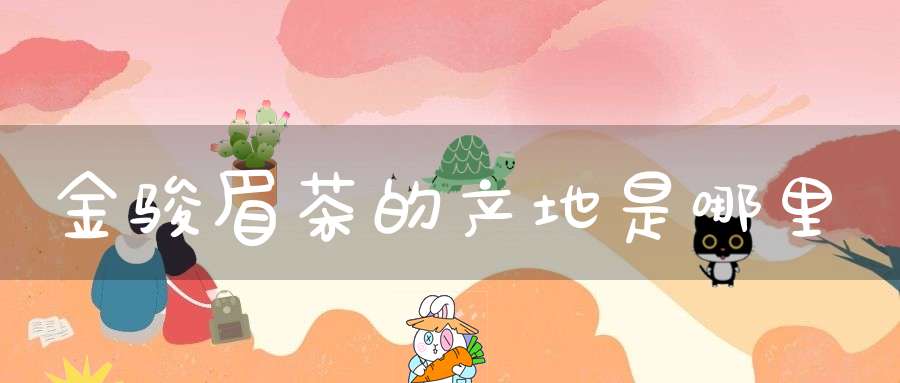 金骏眉茶的产地是哪里