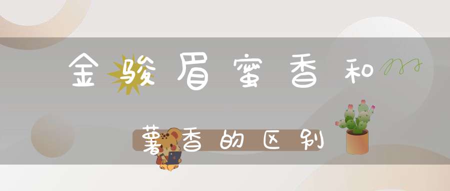 金骏眉蜜香和薯香的区别