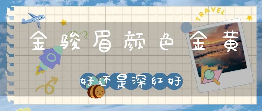 金骏眉颜色金黄好还是深红好