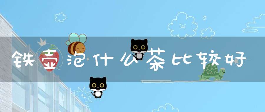 铁壶泡什么茶比较好