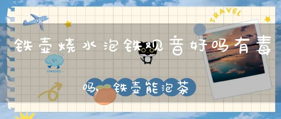 铁壶烧水泡铁观音好吗有毒吗,铁壶能泡茶喝吗